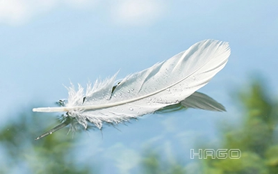 Purity and avoidance of harmful substances