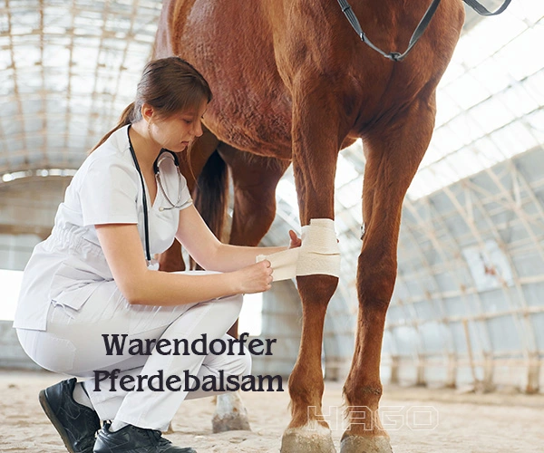 Moor-Hippo 5 - Bewährte Pflegequalität seit 2017