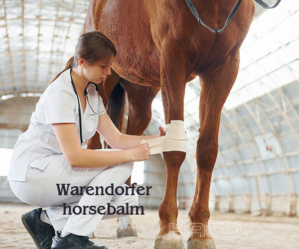 Horse Balm for Horses and Humans